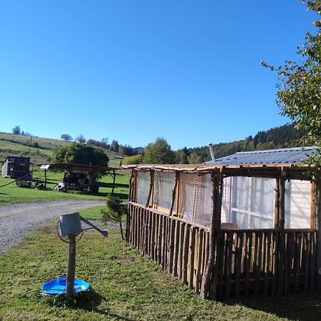 Altana Caloroczna Vira Numer 7 Herbergerowka Agroturystyka Na Wsi Duszniki Zdrój Buitenkant foto