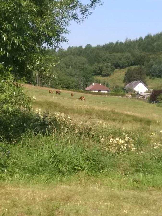 Altana Caloroczna Vira Numer 7 Herbergerowka Agroturystyka Na Wsi Duszniki Zdrój Buitenkant foto