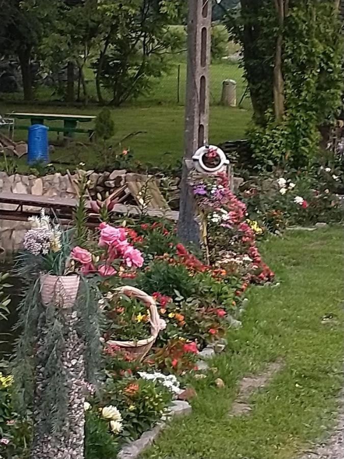 Altana Caloroczna Vira Numer 7 Herbergerowka Agroturystyka Na Wsi Duszniki Zdrój Buitenkant foto