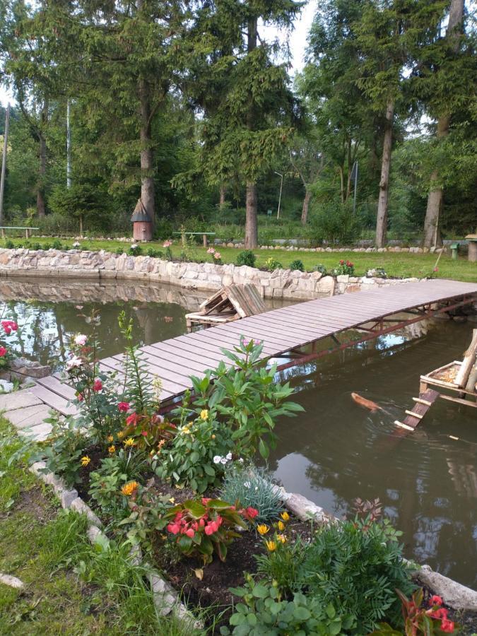 Altana Caloroczna Vira Numer 7 Herbergerowka Agroturystyka Na Wsi Duszniki Zdrój Buitenkant foto