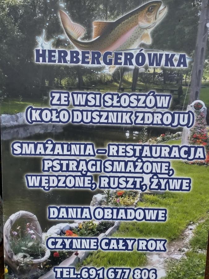 Altana Caloroczna Vira Numer 7 Herbergerowka Agroturystyka Na Wsi Duszniki Zdrój Buitenkant foto