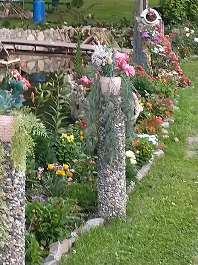 Altana Caloroczna Vira Numer 7 Herbergerowka Agroturystyka Na Wsi Duszniki Zdrój Buitenkant foto